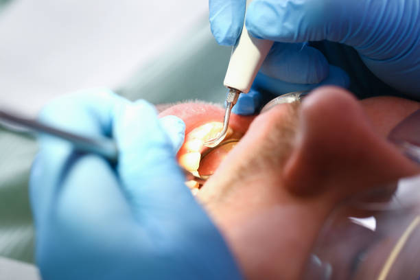 Best Emergency X-Rays and Diagnostics in Jonestown, TX