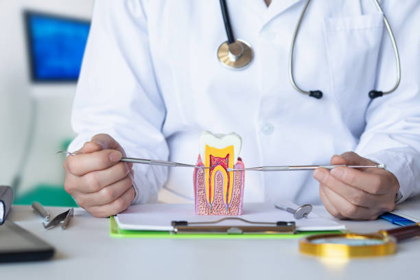 Best Emergency Root Canal Therapy in Jonestown, TX